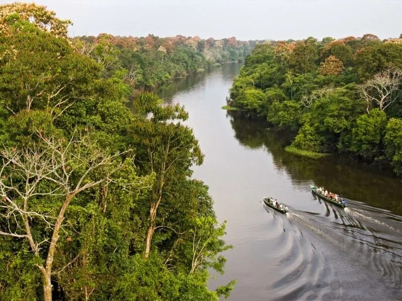 Река аракара в бразилии фото и описание 7 Days Amazon Cruise with Wildlife Observation Aventura do Brasil