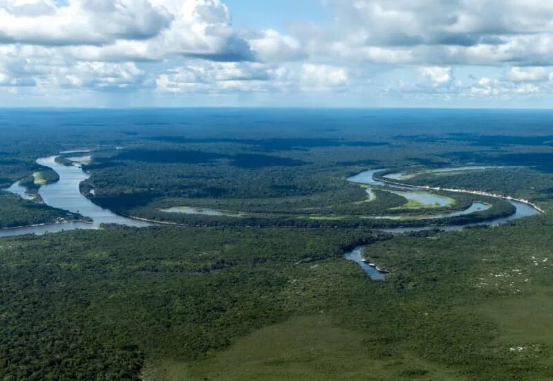 Река аракара в бразилии фото и описание Deforestation in the Amazon region at its lowest level for six years