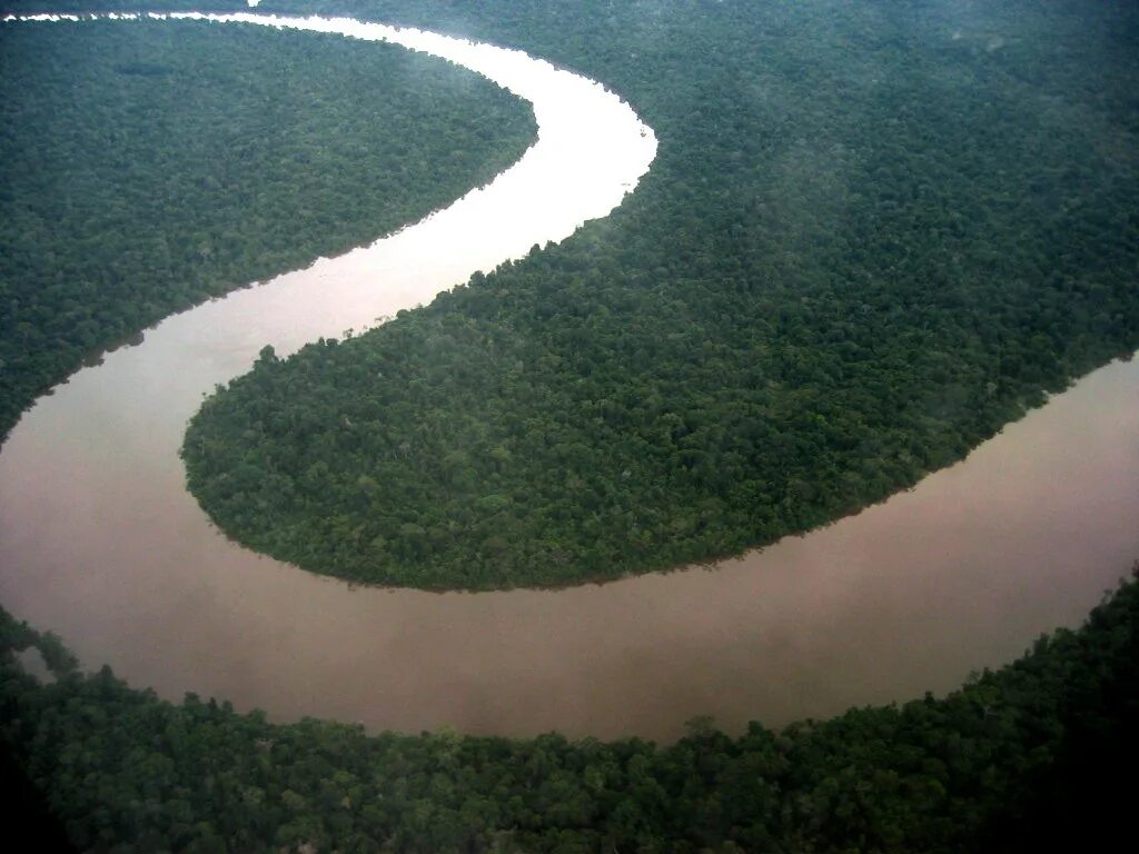 Река аракара в бразилии фото и описание The Amazon river from the air Daniel - דני Flickr