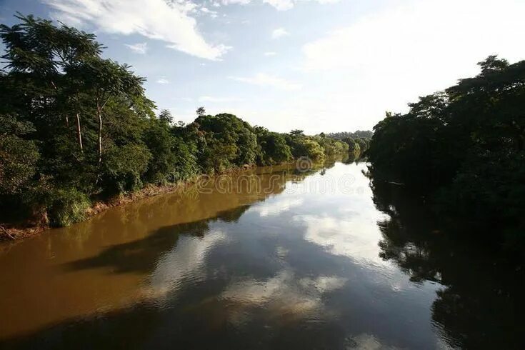 Река аракара в бразилии фото и описание River on amazon region. In brazil , #Sponsored, #amazon, #River, #brazil, #regio