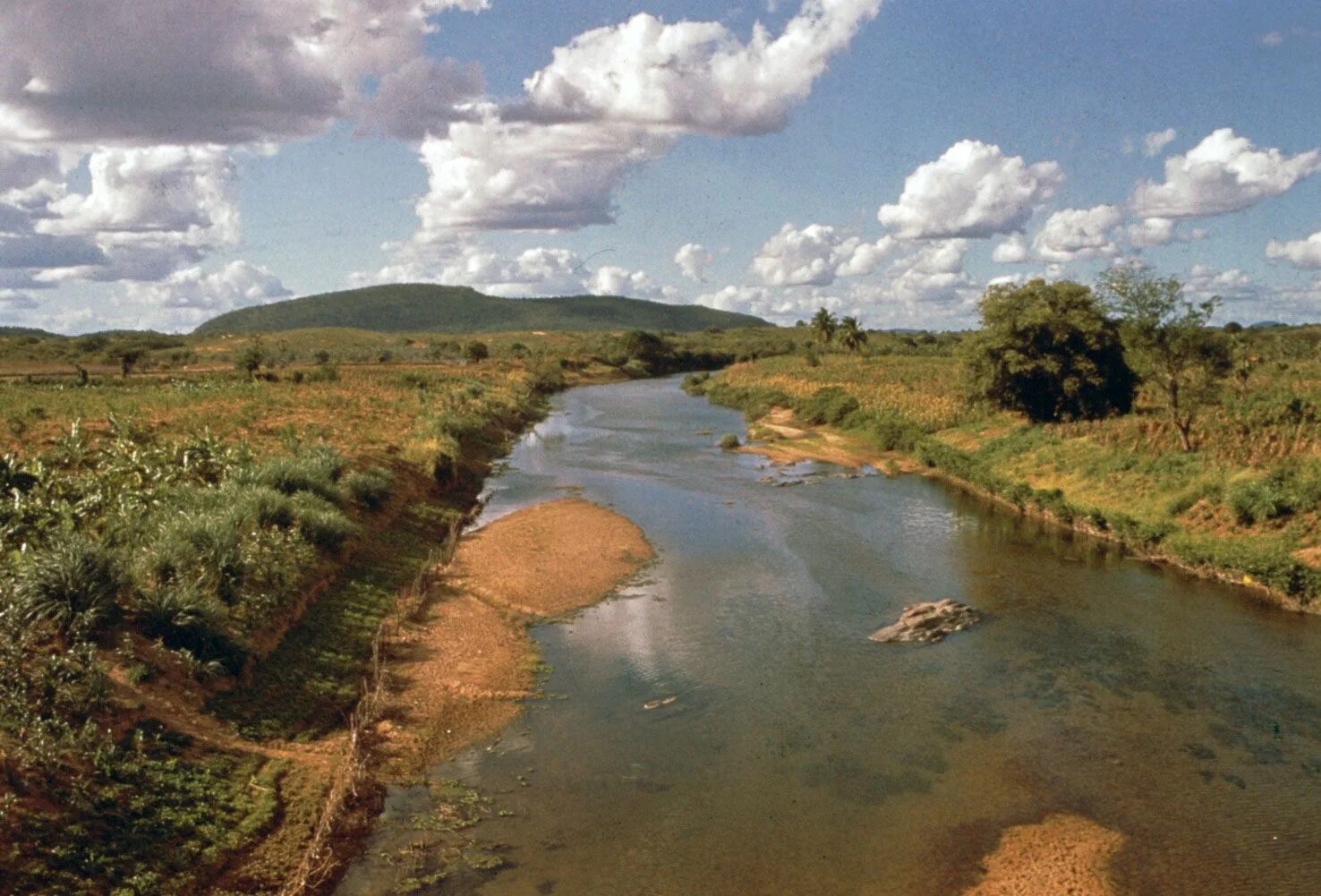 Река аракара в бразилии фото и описание Jaguaribe River Amazon, Rainforest & Wildlife Britannica