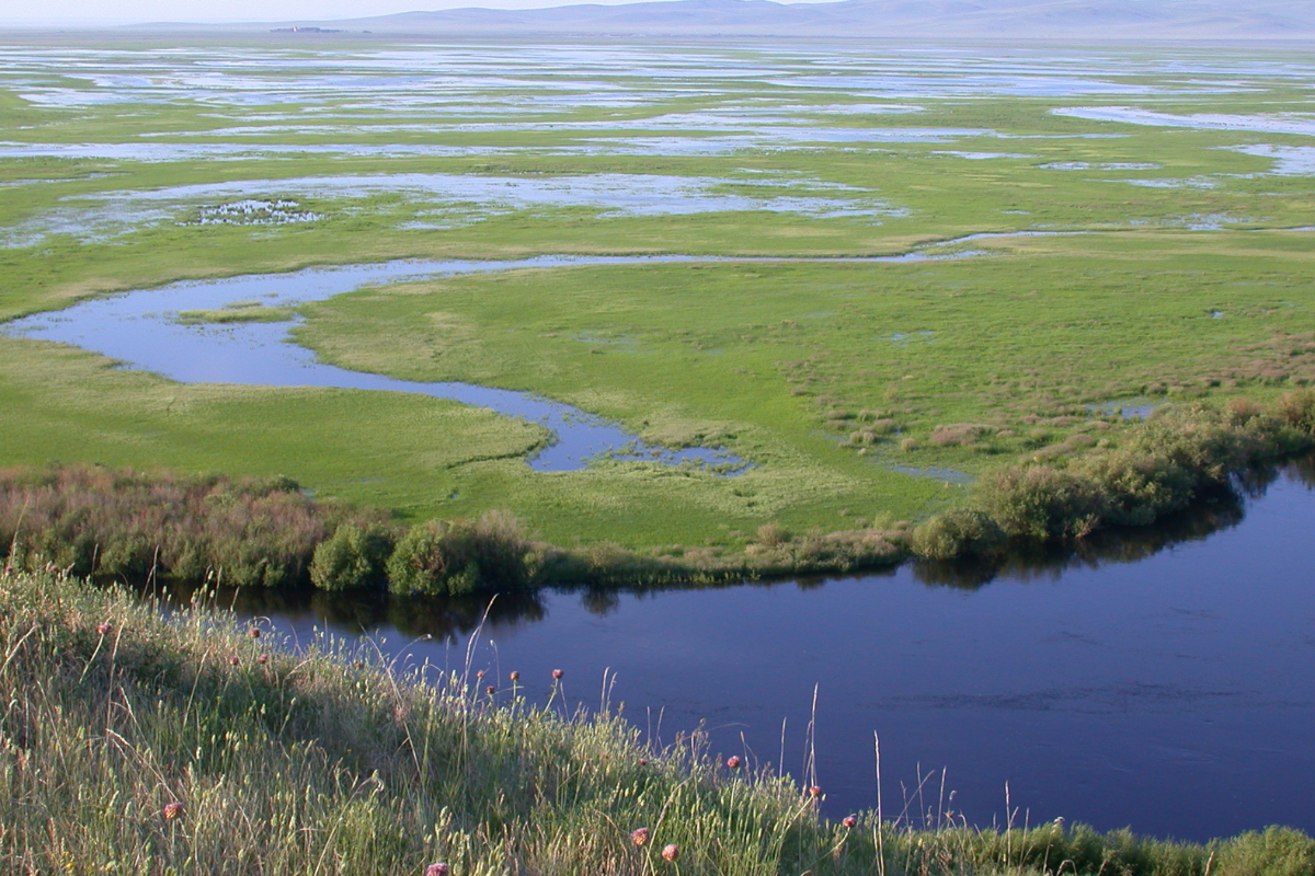 Река аргунь видеоролики фото PRESS RELEASE Report: Stronger river protections vital to a green, just recovery