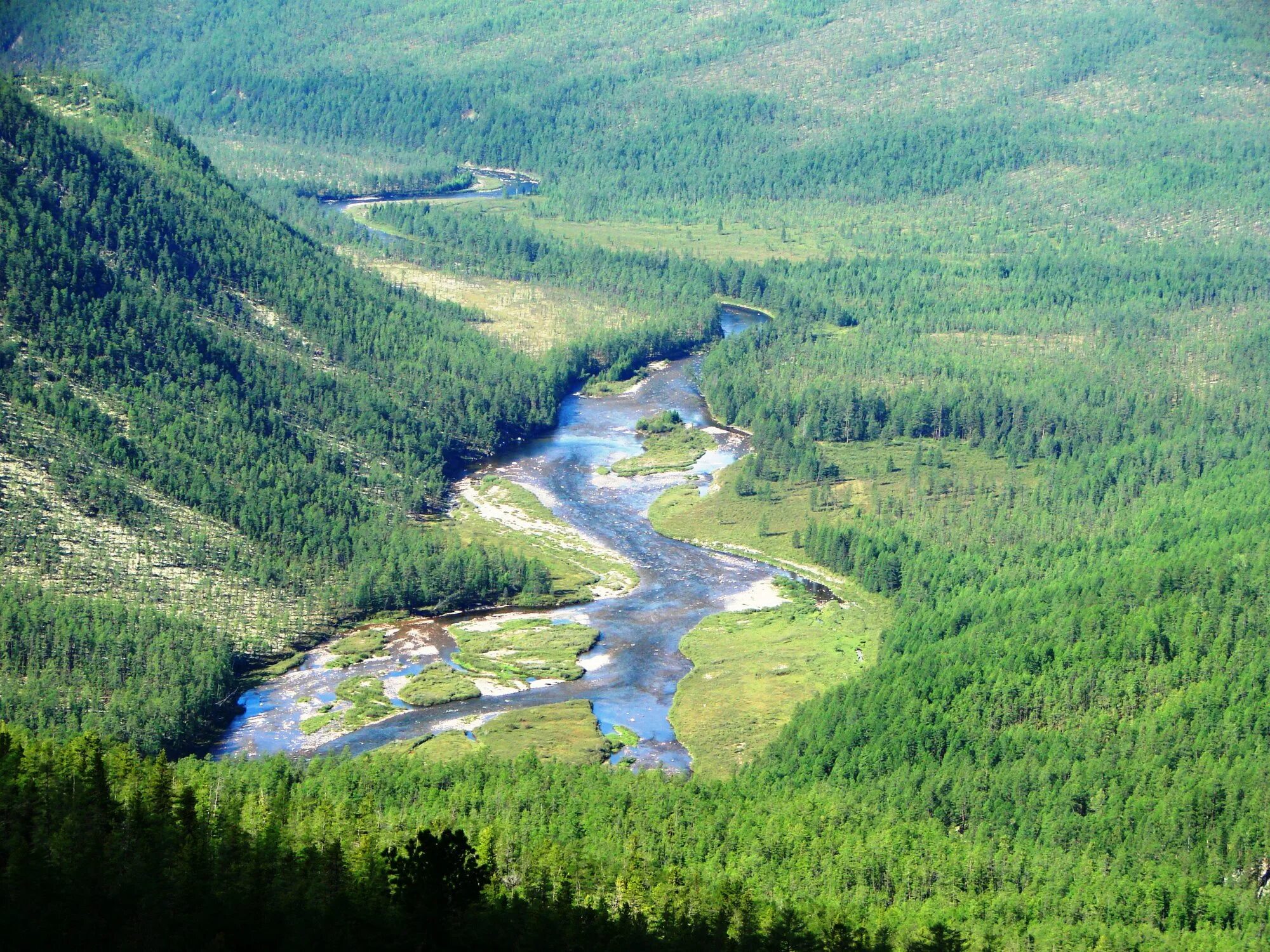 Река баргузин фото Верховья Баргузина - Фото № 95323