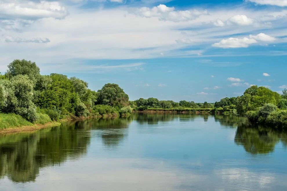 Река беларуси фото Десять самых длинных рек Беларуси