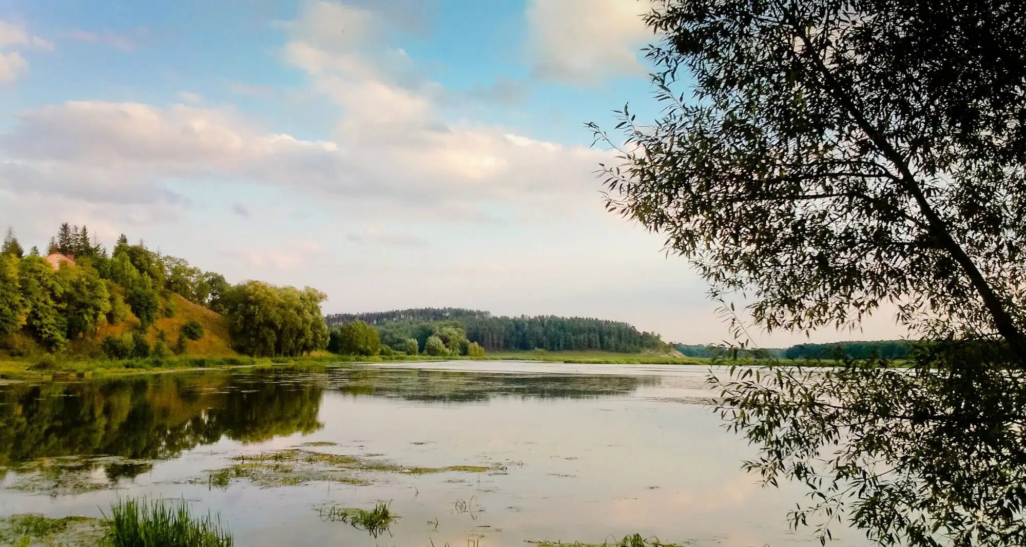 Река беларуси фото Унікальныя рэкі Беларусі. Падрабязна пра нацыянальную скарбніцу