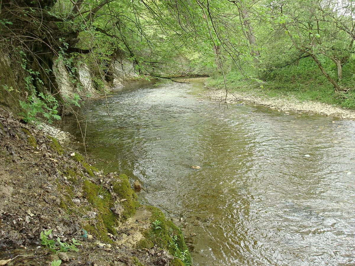 Река бельбек фото Файл:Belbek v Kujbyshevo.jpg - Википедия