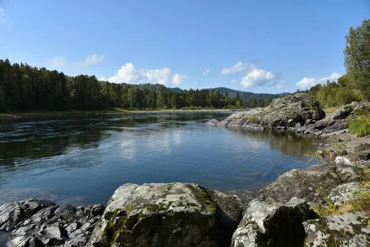 Река бия фото Избранные фотографии :: Надежда Гусева - ФотоКто Озера, Фотографии, Река