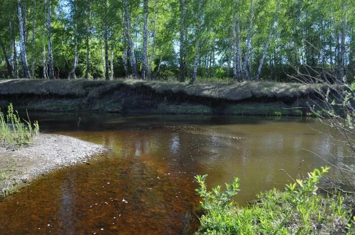 Река большая черная фото Устье реки Чёрной