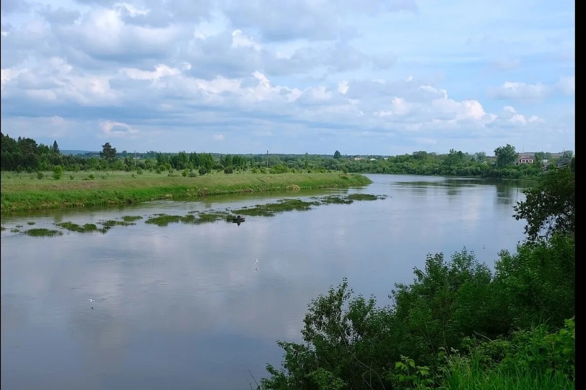 Река чепца фото Река Чепца в Удмуртии обмелела - МК Ижевск