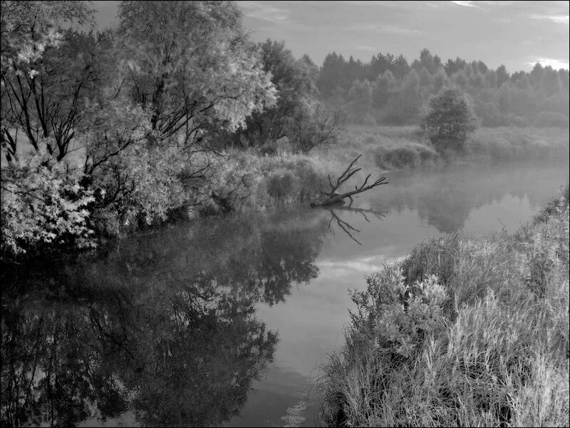 Река черно белое фото Фотография ЧБ утренняя картинка с корягой в речке, автор Сергей Чубаров