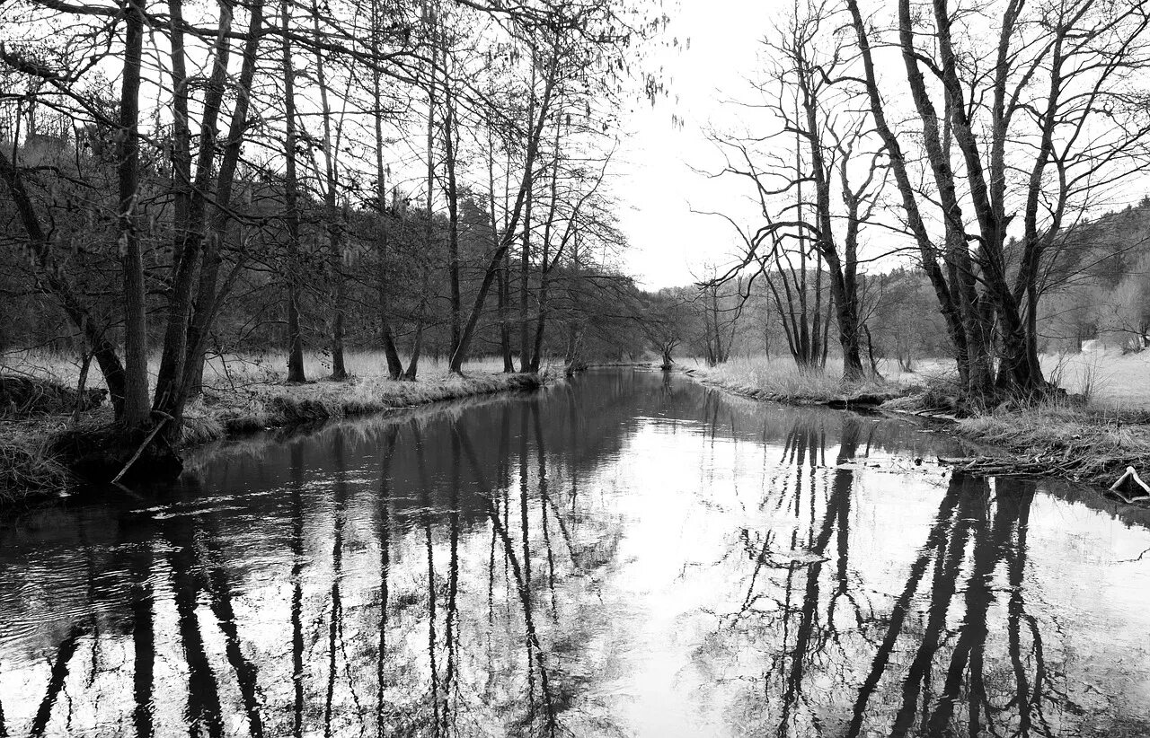 Река черно белое фото Edit free photo of Reflection,waters,tree,river,nature - needpix.com