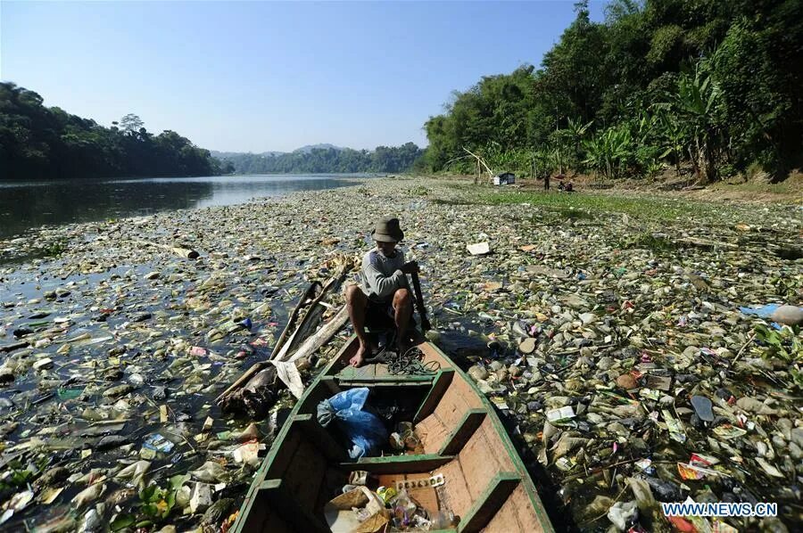 Река читарум фото Citarum river covered by plastic waste in Bandung, Indonesia - Xinhua English.ne