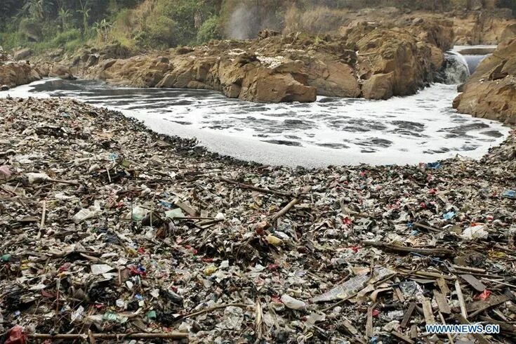 Река читарум фото Ecos Cáusticos : O dia mundial da água... comemorações e preservaç... Water, Coa