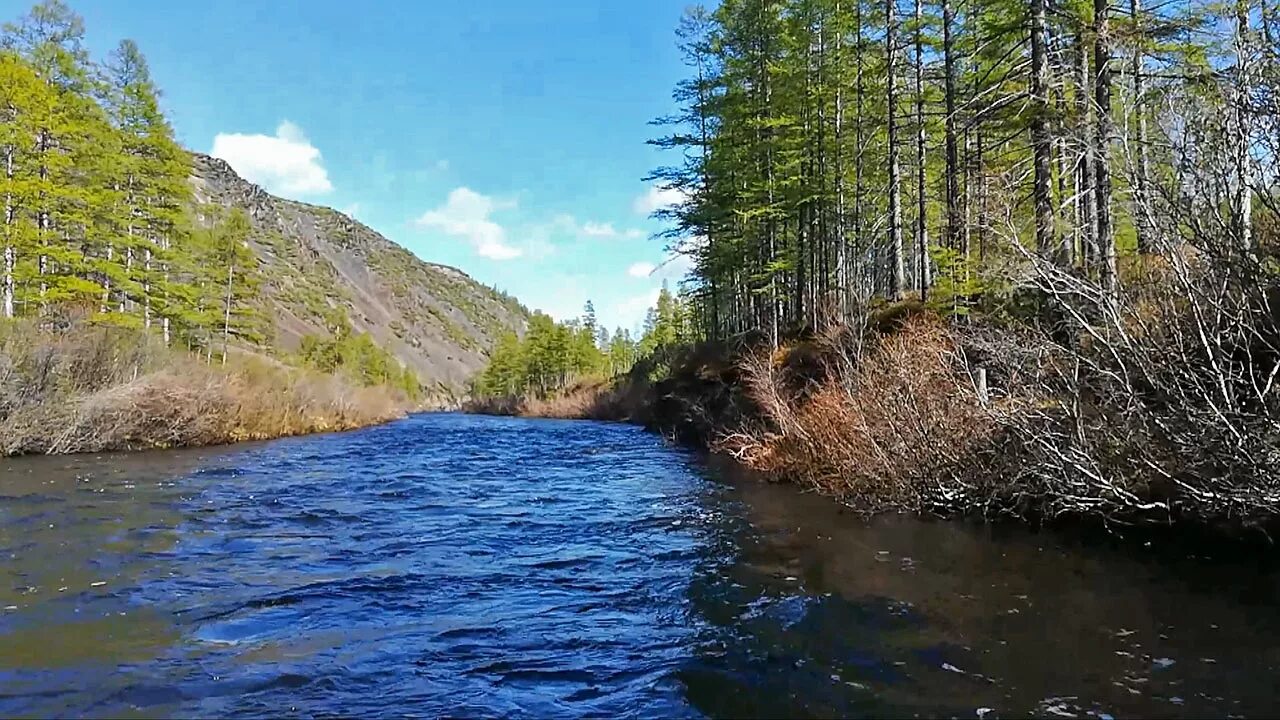 Река чукша фото Река Нил - Моя родина - Магадан