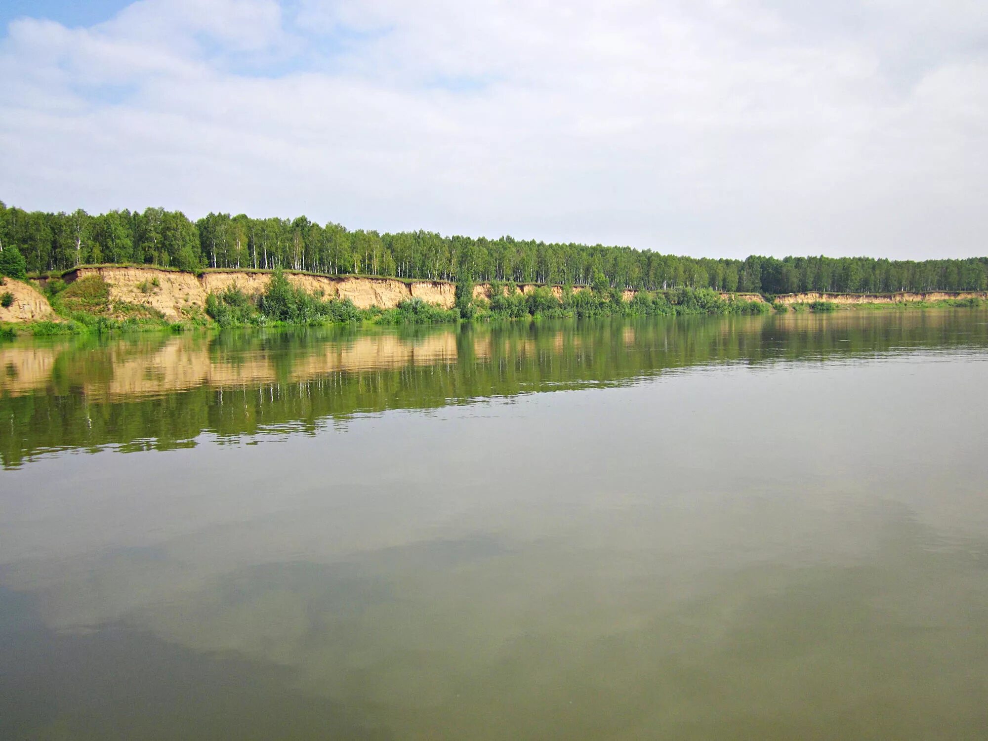 Река чулым фото Сплав по реке Чулым с собакой на байдарке