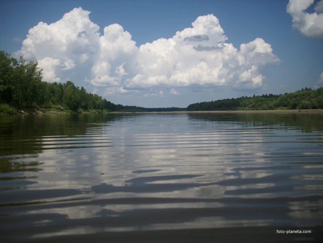 Река чумыш фото На реке Чумыш. Язово (Тальменский район) Фотопланета