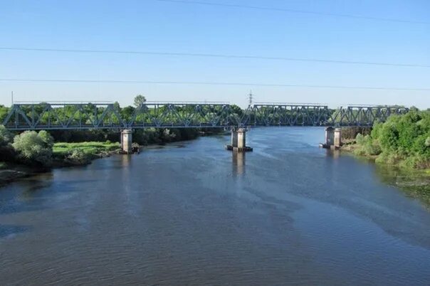 Река десна брянск фото In Bryansk, volunteers tried to restore order on the banks of the Desna https://