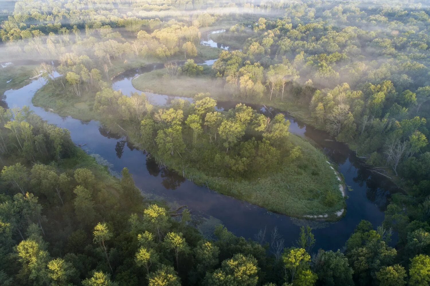 Река десна брянск фото Река Десна (Серж Конфон 2) / Стихи.ру