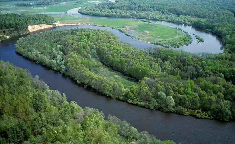 Река десна фото Воду забирают россияне": Украинская газета обвинила РФ в обмелении реки Десна Fo