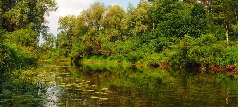 Река дубна фото Однодневный сплав на байдарках в Подмосковье: Река Дубна - подписаться на оповещ