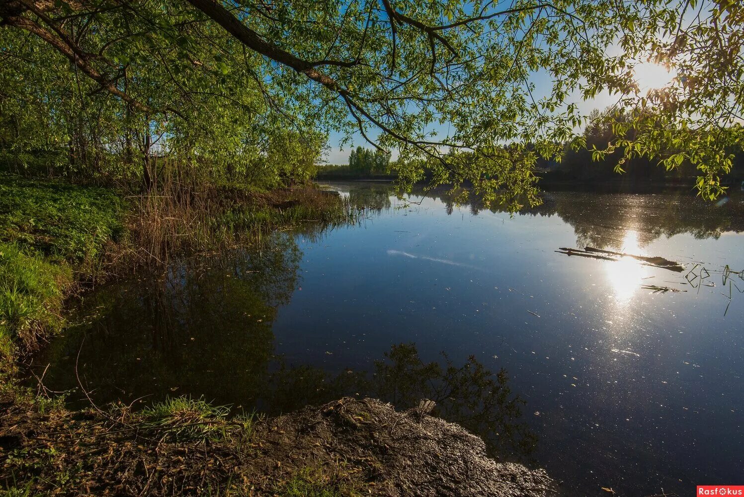 Река дубна фото Фото: На реке Дубне.. Фотограф Виктор Евстратов. Пейзаж. Фотосайт Расфокус.ру