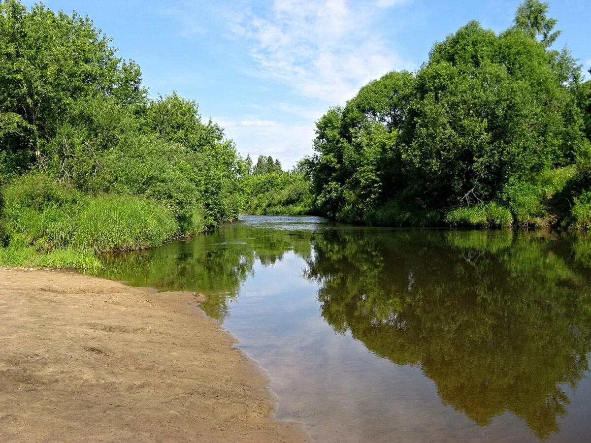 Река дубна фото Отражение в глади воды