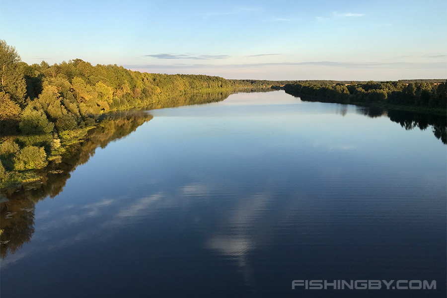 Река двина фото Река Западная Двина в Витебской области FishingBY.com