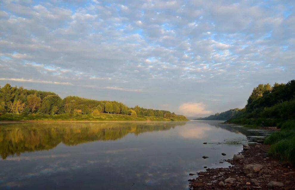 Река двина фото Утро на Двине / фото