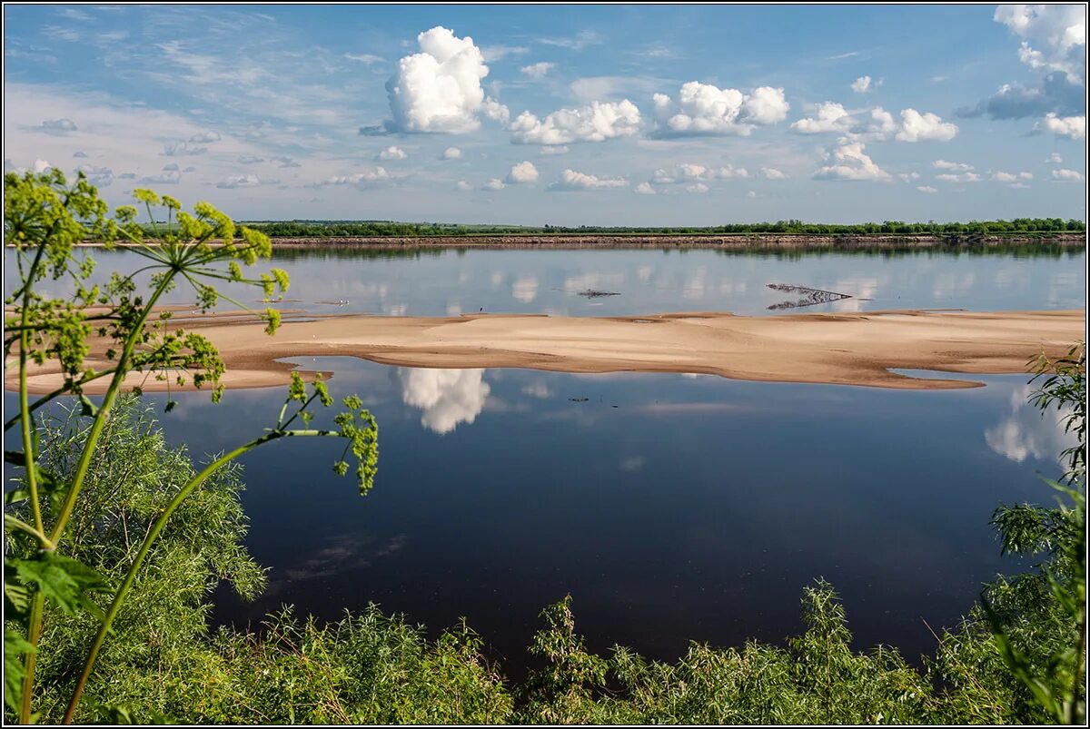 Река двина фото На Северной Двине. / Река в районе Холмогор (Архангельская область)