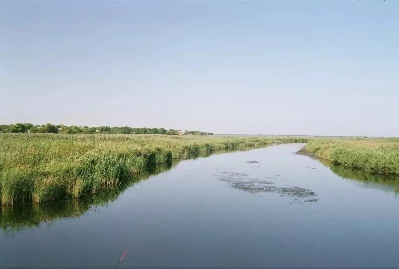 Река ея фото Станица щербиновская краснодарский