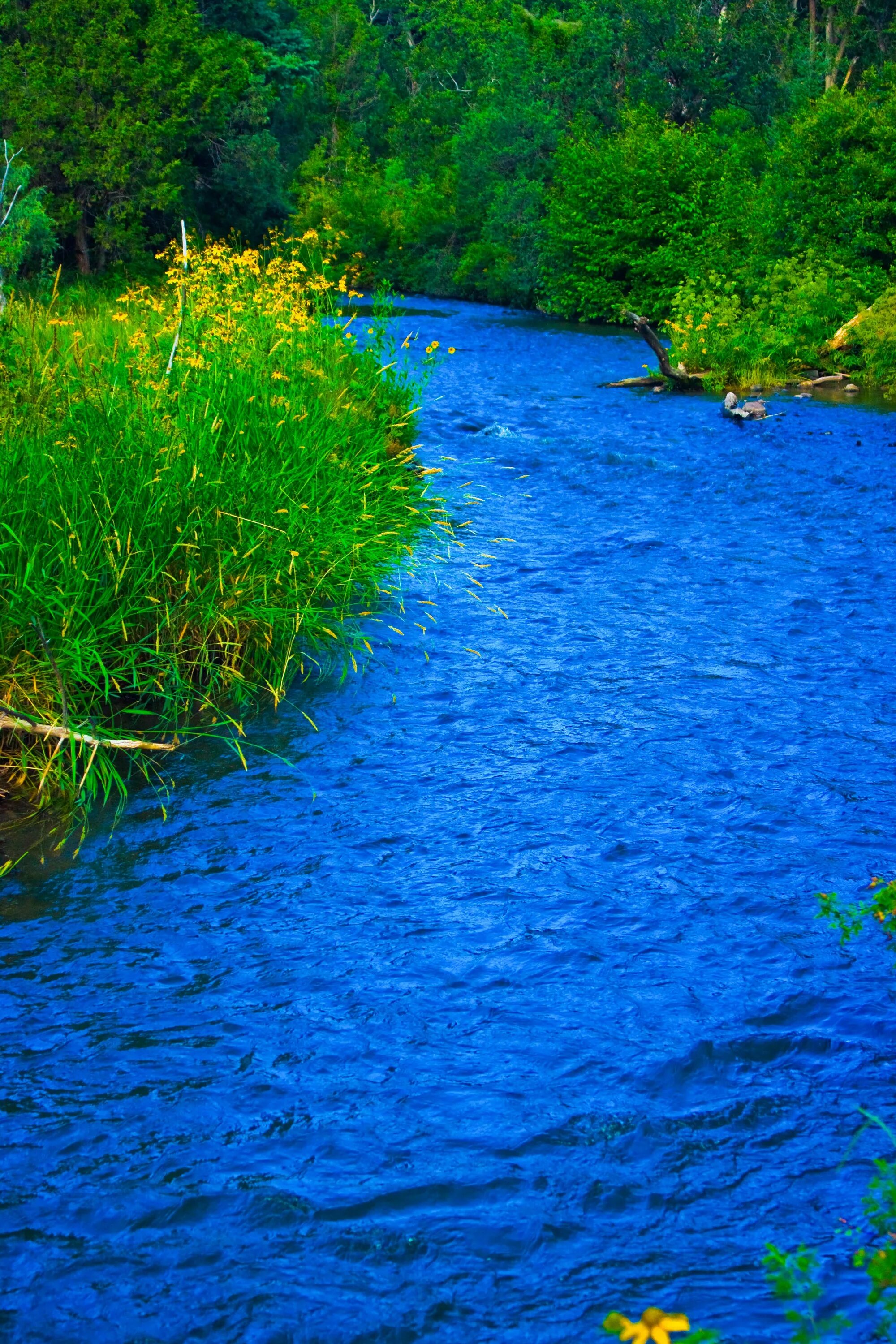 Река фото для детей Free Images : landscape, mountain, lake, river, pond, stream, rapid, body of wat