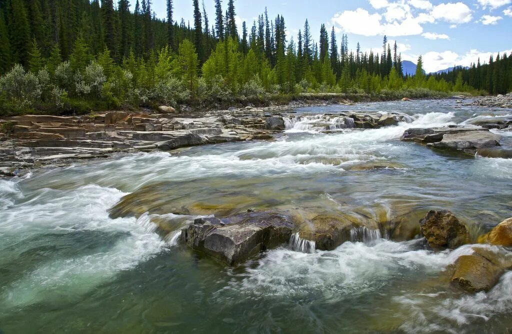 Река фото картинки Bighorn river above Crescent Falls ( David Thompson Highway, Alberta, Canada) La