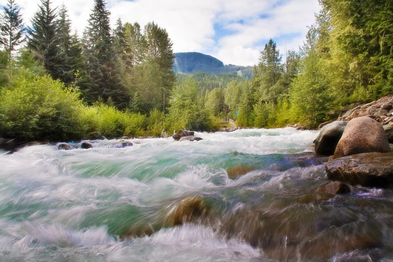 Река фото картинки Wasserfall Bach Fließendes Wasser - Kostenloses Foto auf Pixabay Carteles sobre 