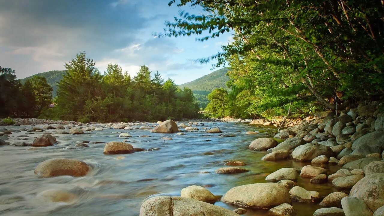 Река фото картинки Relaxing Rain & Soothing River Sounds Near a Beautiful Waterfall in the Rocky Mo