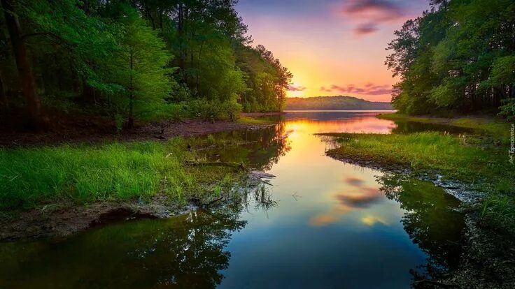 Река фото красивые картинки Rzeka, Las, Zachód słońca, Drzewa Natura