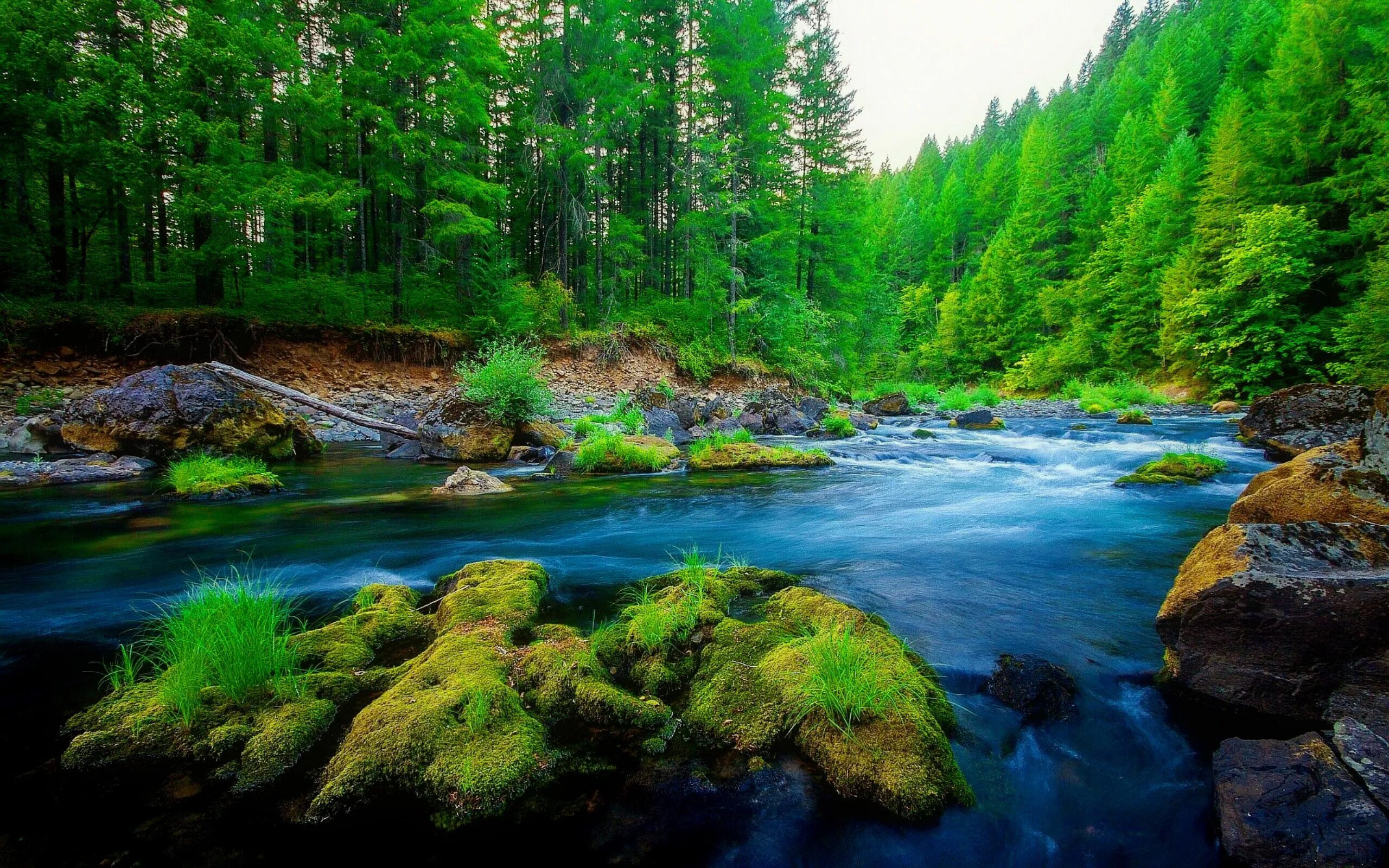 Река фото красивые картинки Over 70 Beautiful River HD Wallpapers for Qimen Dunjia Masters Green nature wall