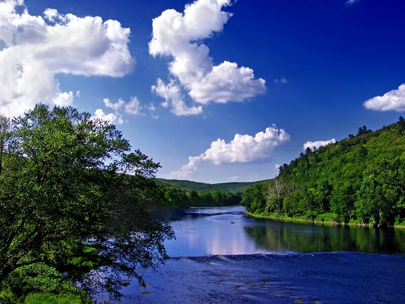 Река фото скачать бесплатно Natural Resource Monitoring at Upper Delaware Scenic and Recreational River (U.S