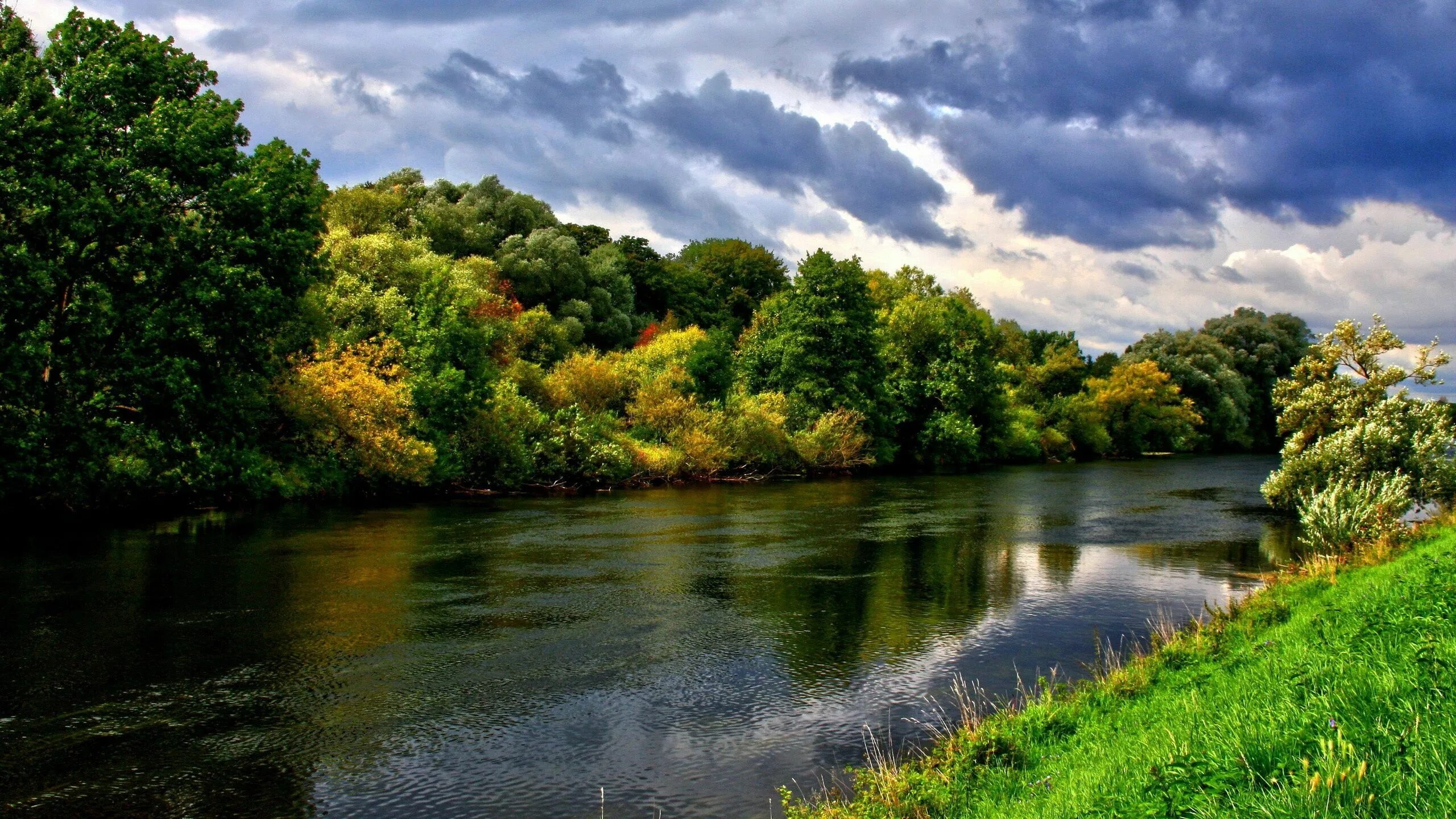 Река фото высокого разрешения Body of water and green-leafed trees wallpaper, river, forest, nature, landscape