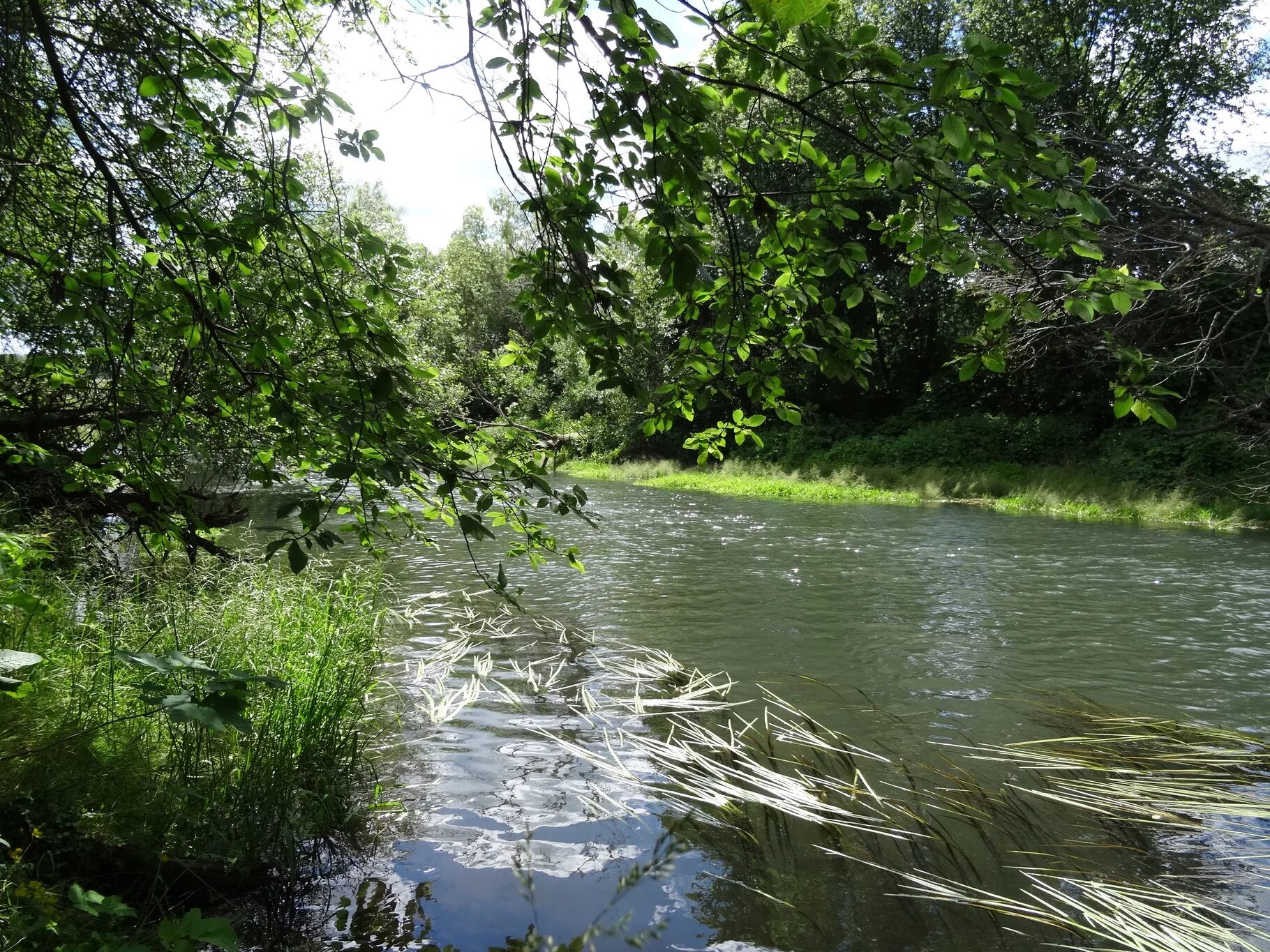 Река и море ул каменка 2 фото Картинки РЕЧКА КАМЕНКА ГДЕ НАХОДИТСЯ