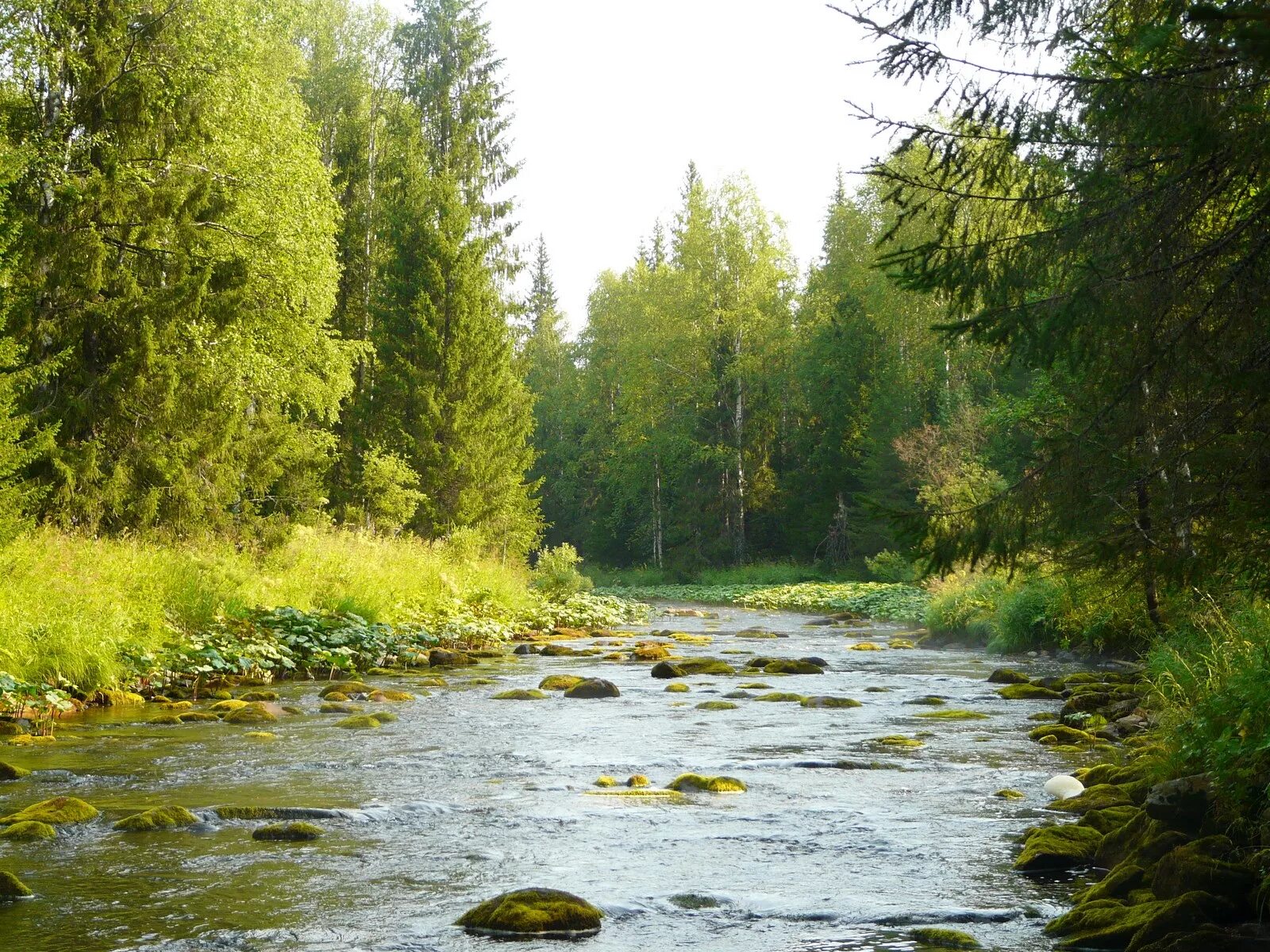 Кадь река в Пермском крае