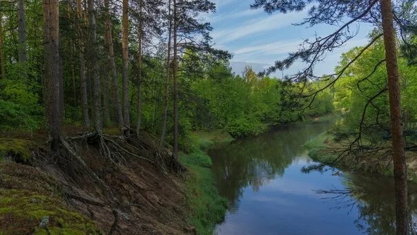 Калуга город на оке