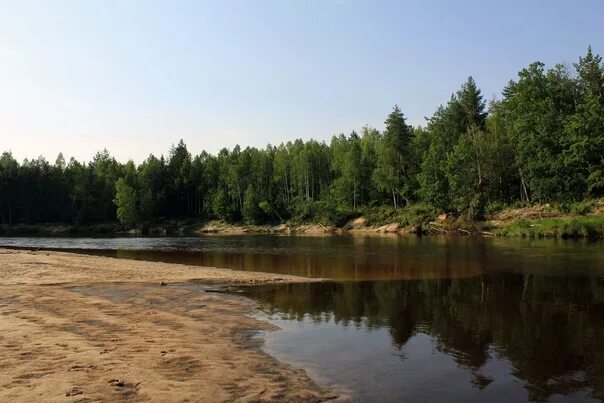 Река керженец фото #широкастранамоя Река Керженец, Нижегородская область Керженец популярен среди т