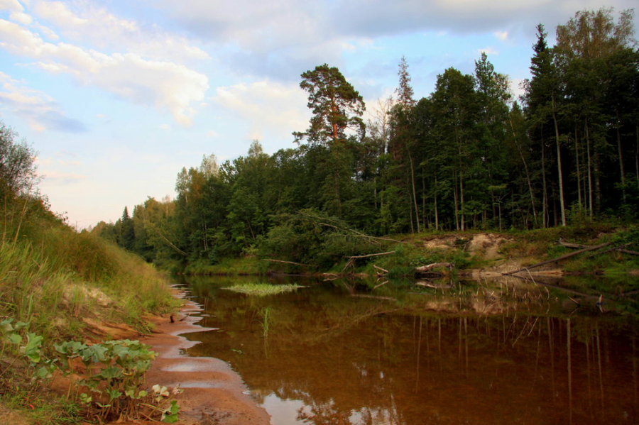 Река керженец фото Керженец. Река, на которой нет городов. Давшая название старообрядцам - "кержаки