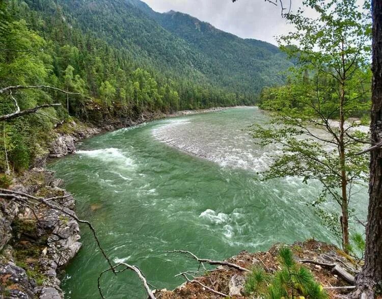 Река китой фото Расскажите о Баджере -- Форум водномоторников.