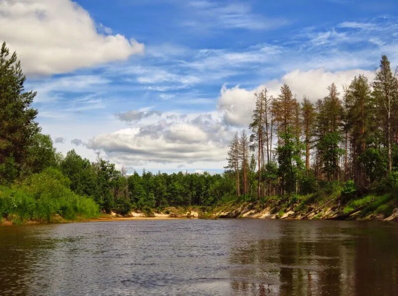 О реке Лух. Фотограф Алексеев Дмитрий в 2021 г Река, Фотографии, Пески