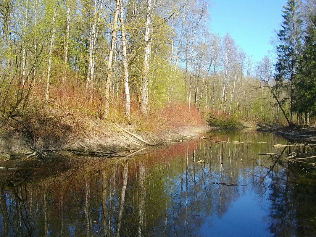 Сплав на каяках по рекам Арму, Иман