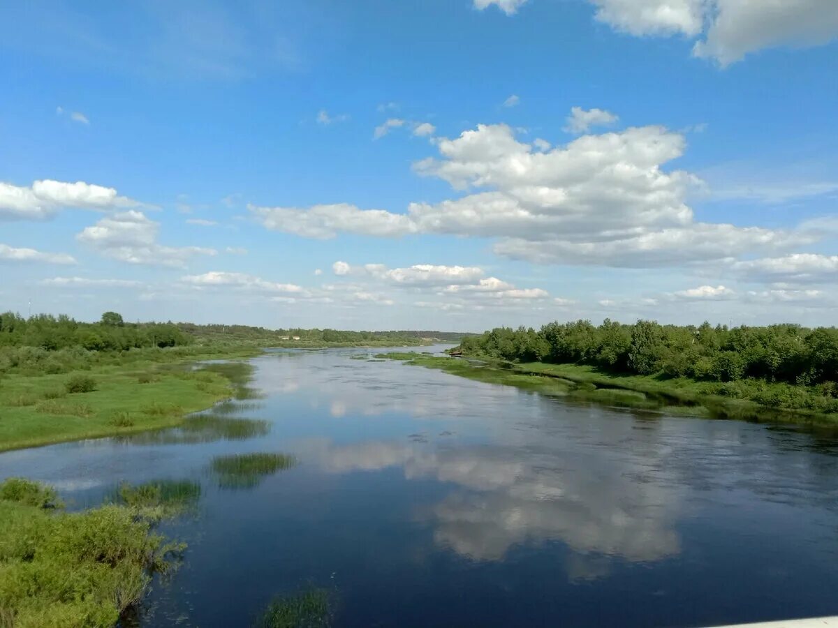 Река молога фото Когда ловил не ту рыбу, которую надо было, но сам виноват РЫБАЛКА С МИХАЛЫЧЕМ Дз