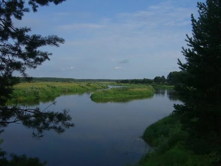 The View from the Height of the River Mologa and Forest. Aerial View. Stock Phot