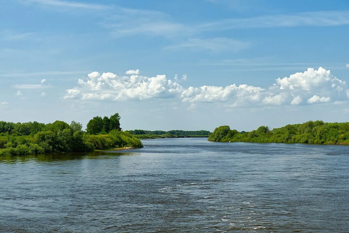 Река ока фото Файл:Oka River P5220740 2350.jpg - Википедия