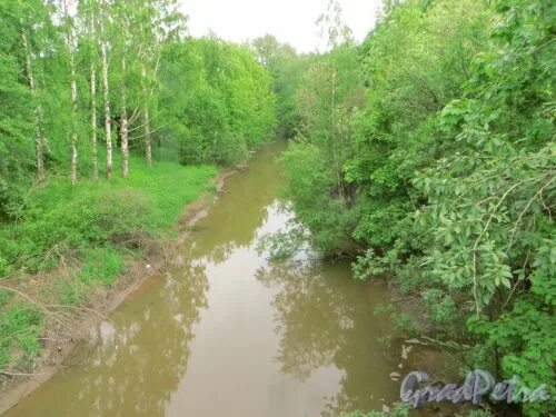 Река оккервиль фото Фотографии Санкт-Петербург: Оккервиль, река, Санкт-Петербург - GradPetra. Река О